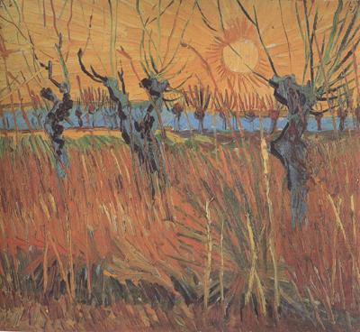 Vincent Van Gogh Willows at Sunset (nn04)